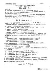 2022年山东省济宁市梁山县寿张集镇中考模拟历史试题（三）（无答案）