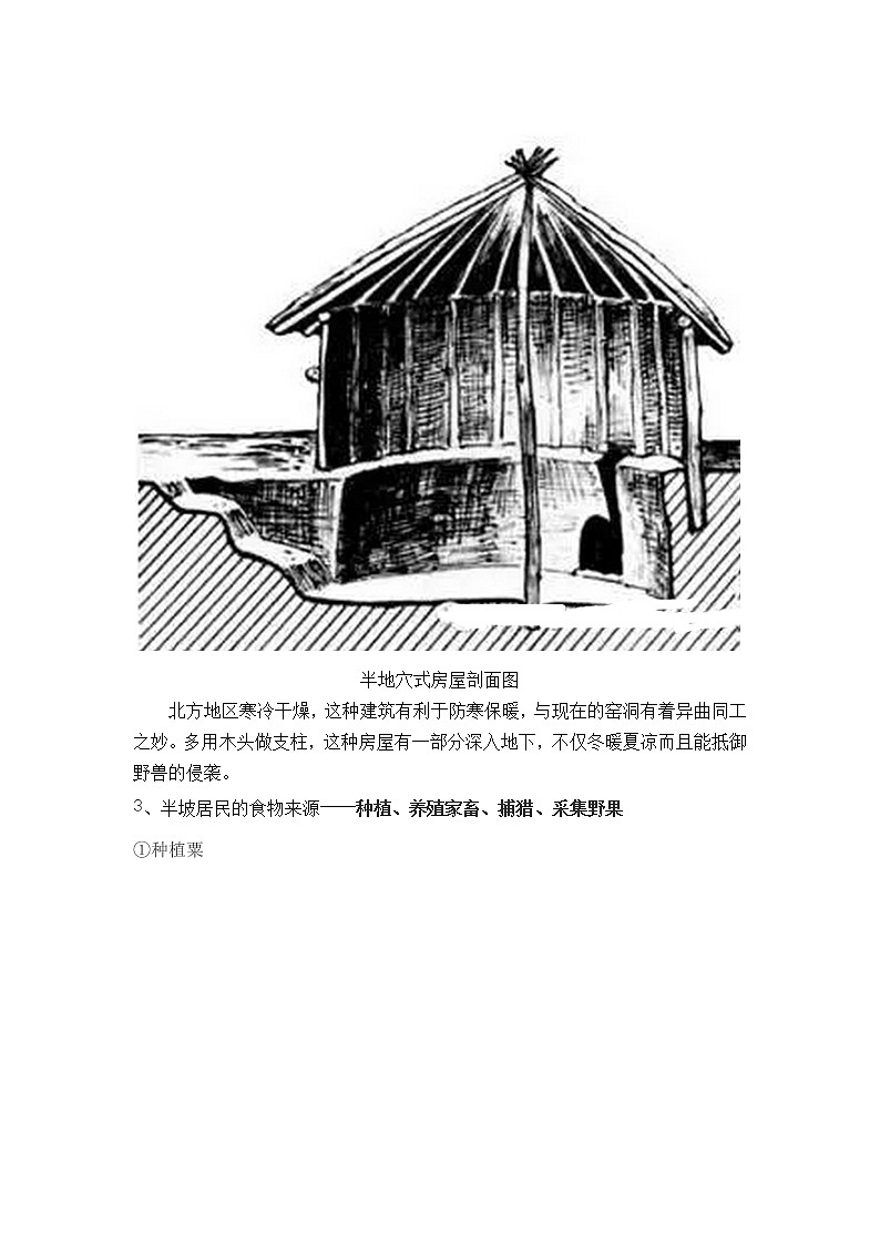 人教版历史七上第2课《原始农耕生活》教案02