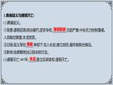 2021-2022学年历史七年级下册第5课安史之乱与唐朝衰亡复习课件