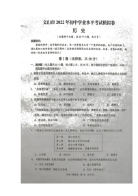 云南省文山州文山市2022年初中学业水平考试模拟历史试题（含答案）