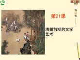 人教部编七下历史 21清朝前期的文学艺术 课件