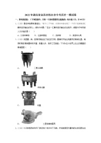 2022年湖北省宜昌市枝江市中考历史一模试卷(word版含答案)