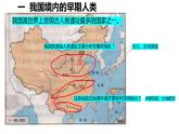 2021~2022学年部编版七年级历史上册第1课  中国境内早期人类的代表——北京人 课件