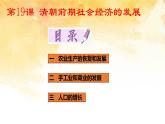 2021~2022学年部编版七年级历史下册第19课  清朝前期社会经济的发展 课件