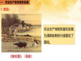 2021~2022学年部编版七年级历史下册第19课  清朝前期社会经济的发展 课件