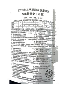 湖南省岳阳市岳阳县2021-2022学年部编版八年级下学期期末质量监测历史试题（无答案）