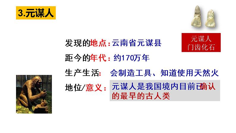 1.1中国境内早期人类的代表--北京人课件2022-2023学年部编版七年级历史上册第7页