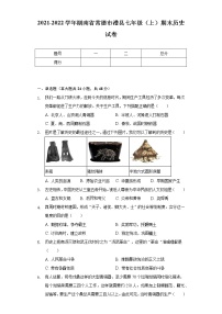 2021-2022学年湖南省常德市澧县七年级（上）期末历史试卷（含解析）