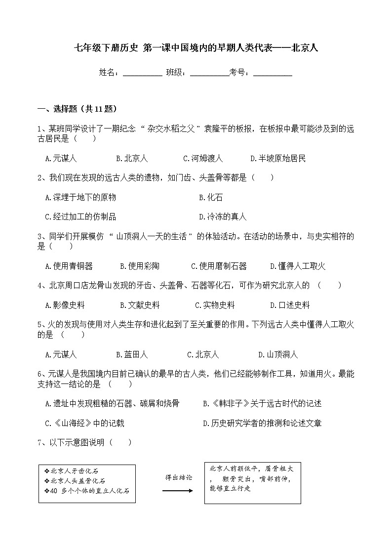 人教版历史七年级下册 第一单元第一课中国境内的早期人类代表——北京人 试卷（含解析）第1页