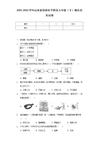 2021-2022学年山东省济南市平阴县七年级（下）期末历史试卷（Word解析版）