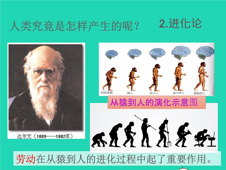 2022七年级历史上册第一单元史前时期：中国境内早期人类与文明的起源第1课中国早期人类的代表__北京人课件统编版第5页