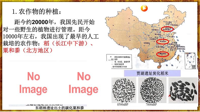 部编版七上历史1.2《原始农耕生活》课件+素材07