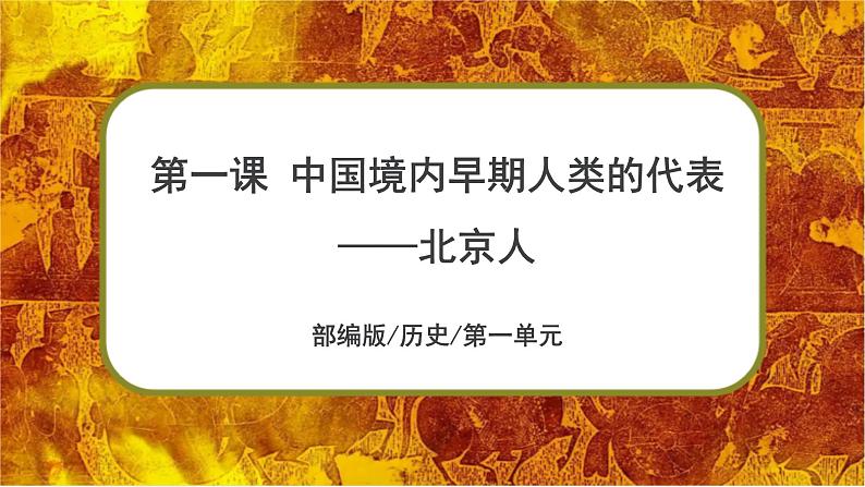 部编版七上历史1.1《中国境内早期人类的代表——北京人》课件+素材01