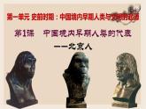 人教版历史七年级上册课件第1课 中国境内早期人类的代表——北京人