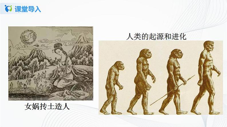 第1课  中国境内早期人类的代表——北京人第4页