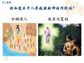 第1课 中国早期人类的代表—北京人(共21张PPT)