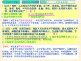 人教版中国历史八年级下册《新编基础训练》第19课《社会生活的变迁》训练题评讲PPT课件