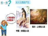 七上历史部编版第1课 《中国境内早期人类代表——北京人》PPT