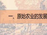 部编版七年级历史上册 第2课 原始农耕生活【课件】