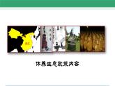 第11课 西汉建立和“文景之治” 课件 2022-2023学年部编版历史七年级上册