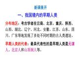 部编版七年级历史上册课件--第1课 中国境内早期人类的代表——北京人