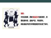 第16課 早期殖民掠奪 教學(xué)課件+教案+視頻素材