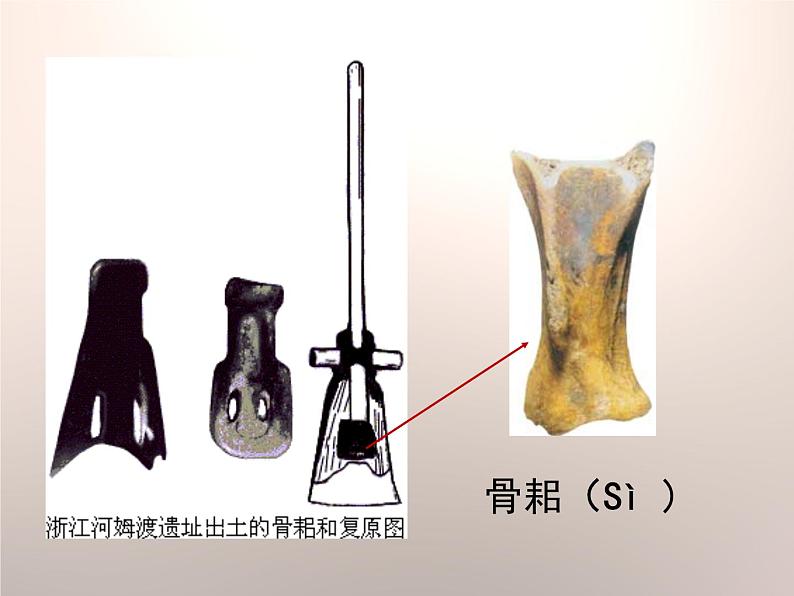 部编版历史七年级上册第2课 《原始农耕生活》优教课件06