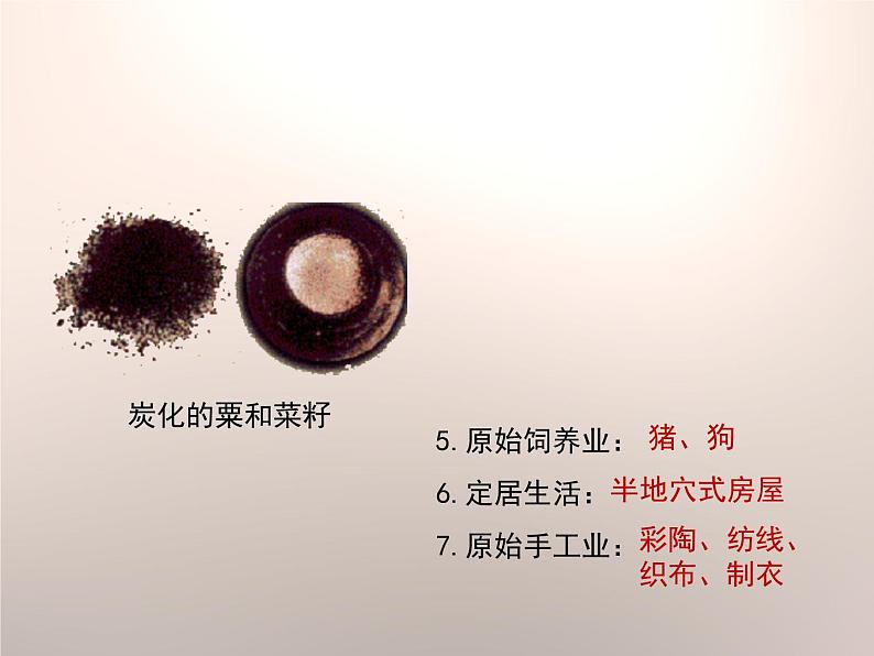 部编版历史七年级上册第2课 《原始农耕生活》优教课件07