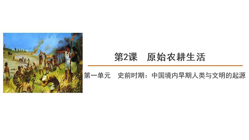 第二课《原始农耕生活》课件+教案+同步练习01