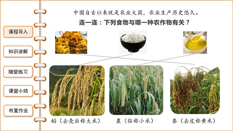 第二课《原始农耕生活》课件+教案+同步练习03