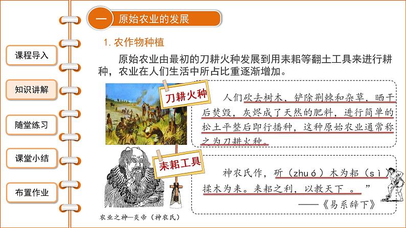 第二课《原始农耕生活》课件+教案+同步练习07