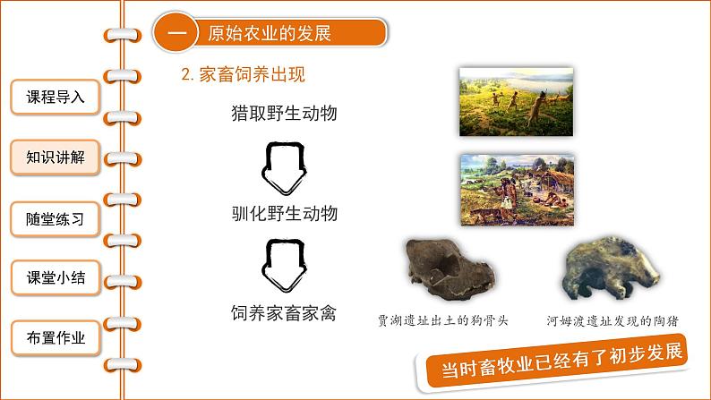 第二课《原始农耕生活》课件+教案+同步练习08