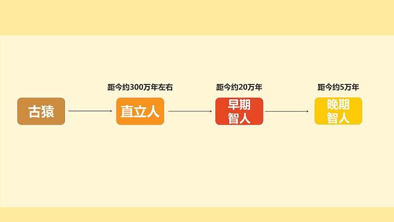 人教部编版历史七年级上册《中国境内早期人类的代表——北京人》课件104