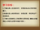 人教部编版历史七年级上册第1课中国早期人类的代表—北京人 课件