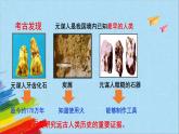 统编版七年级历史上册《中国境内早期人类的代表——北京人》教学课件