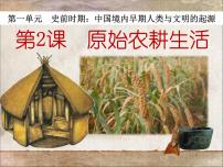 初中历史人教部编版七年级上册第二课 原始农耕生活图文ppt课件