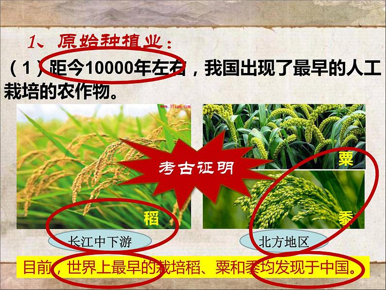 第2课 原始农耕生活 课件PPT+教案+导学案05