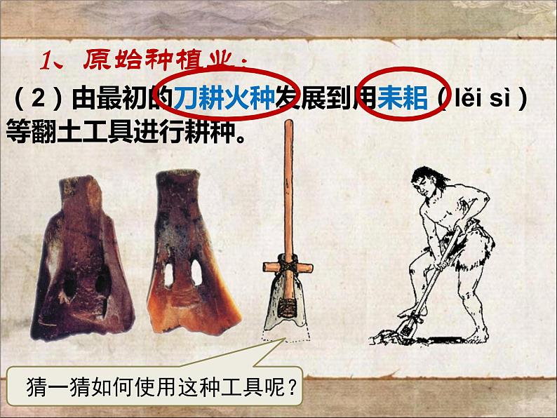 第2课 原始农耕生活 课件PPT+教案+导学案06