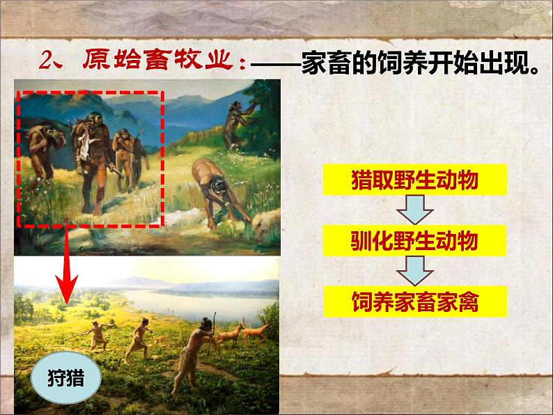第2课 原始农耕生活 课件PPT+教案+导学案07