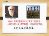 第1课 中国境内早期人类的代表——北京人 课件PPT+教案+导学案