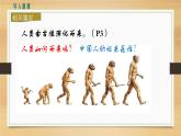 第1课 中国境内早期人类的代表——北京人 课件PPT+教案+导学案