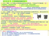 5.人教版中国历史七年级上册《新编基础训练》第5课《青铜器与甲骨文》评析课件