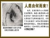部编版七年级历史上册--中国境内早期人类的代表——北京人 课件+ 视频素材