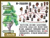 部编版七年级历史上册--中国境内早期人类的代表——北京人 课件+ 视频素材