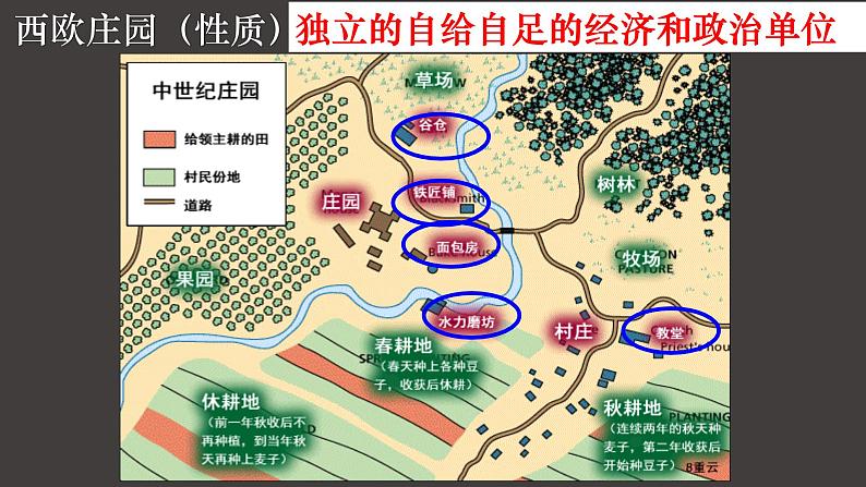 2022人教版初中九年级上册第8课《西欧庄园》PPT课件第6页