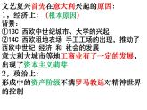 2022人教版初中九年级上册第14课《文艺复兴运动》PPT课件