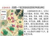 部编版九年级历史上册--第8课 西欧庄园 课件+视频素材