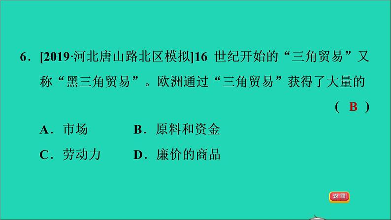 历史人教版九年级上册同步教学课件第5单元走向近代第16课早期殖民掠夺1第8页