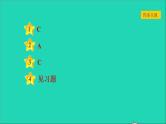 历史人教版九年级上册同步教学课件第1单元古代亚非文明第1课古代埃及2