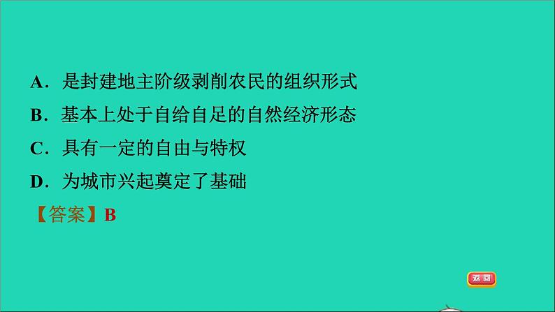 历史人教版九年级上册同步教学课件第3单元封建时代的欧洲第8课时西欧庄园06